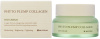 Крем дневной для лица с фитоколлагеном 50мл MIZON PHYTO PLUMP COLLAGEN DAY CREAM