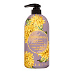 Гель для душа парфюмированный с экстрактом хризантемы 750мл Jigott Chrysanthemum Perfume Body Wash
