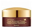 Крем для лица восстанавливающий с муцином улитки 100г DEOPROCE SNAIL RECOVERY CREAM