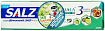 Паста зубная с гипертонической солью и трифалой - Lion Salz herbal, 90г