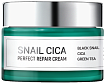 Крем для лица с муцином улитки и центеллой - Esthetic House Snail cica perfect repair cream, 50мл