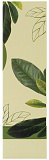 Пенка для лица для умывания - FarmStay Green tea seed pure cleansing foam, 180мл