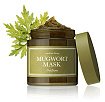 Маска очищающая с полынью для проблемной кожи - I'm From Mugwort mask, 110г