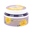 Крем питательный для лица с экстрактом хризантемы 100мл JIGOTT CHRYSANTHEMUM FLOWER NOURISHING CREAM