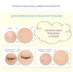 Корректор для лица универсальный «тон 2» - Sana Skin day flawless nude concealer SPF20/PA++, 15г