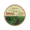 Гель для лица увлажняющий успокаивающий c муцином улитки 300мл FarmStay Snail Moisture Soothing Gel