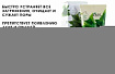 Пенка для умывания с экстрактом зеленого чая 100мл EKEL Foam Cleanser Green Tea