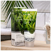 Пенка для умывания с экстрактом зелёного чая 100мл 3W CLINIC Green Tea Cleansing Foam
