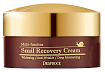 Крем для лица восстанавливающий с муцином улитки 100г DEOPROCE SNAIL RECOVERY CREAM