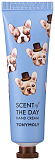Крем для рук с экстрактом яблока, бергамота, муската, - TONYMOLY SCENT of THE DAY HAND CREAM SO COZY