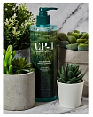 Шампунь натуральный увлажняющий - Esthetic House CP-1 Daily moisture natural shampoo, 500мл