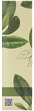 Пенка для лица для умывания - FarmStay Green tea seed pure cleansing foam, 180мл