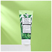 Пенка для лица для умывания с экстрактами полыни и чайного дерева - Grace Day Real fresh foam, 100мл