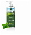 Шампунь для волос восстанавливающий с экстрактом зелёного чая DEOPROCE SHAMPOO - GREENTEA HENNA PURE