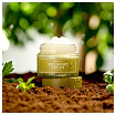 Крем для лица успокаивающий с экстрактом полыни - I'm From Mugwort cream, 50г