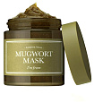 Маска очищающая с полынью для проблемной кожи - I'm From Mugwort mask, 110г