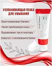 Пенка для умывания 100мл MIZON GOOD BYE BLEMISH LOW pH CLEANSER