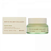 Крем ночной для лица с фитоколлагеном 50мл MIZON PHYTO PLUMP COLLAGEN NIGHT CREAM