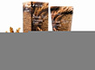 Пенка для умывания коричневый рис - 3W Clinic Cleansing foam brown rice, 100мл