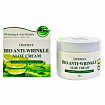 Крем антивозрастной для лица с экстрактом алоэ вера 100г DEOPROCE BIO ANTI WRINKLE ALOE CREAM