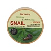 Гель для лица увлажняющий успокаивающий c муцином улитки 300мл FarmStay Snail Moisture Soothing Gel